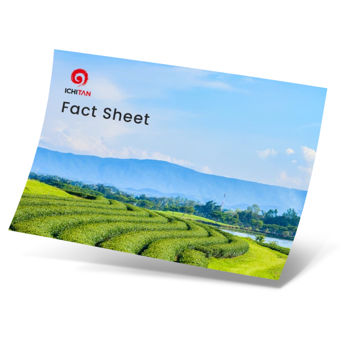 Factsheet FY2025