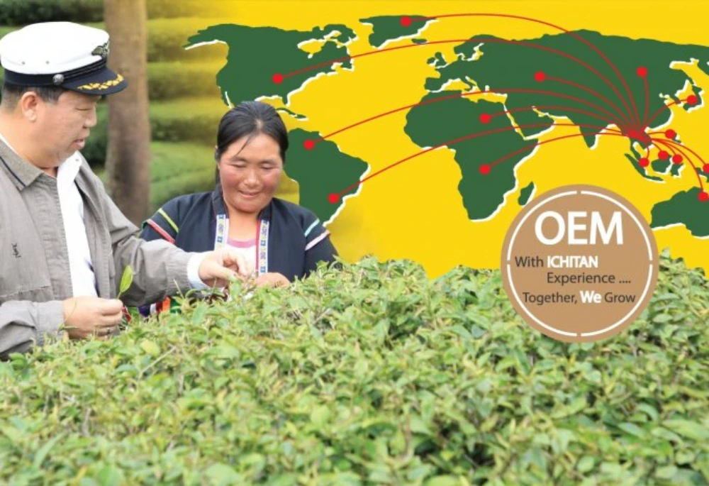 ICHI joins the CLMV SET Index, the green tea market in CLMV expected to grow