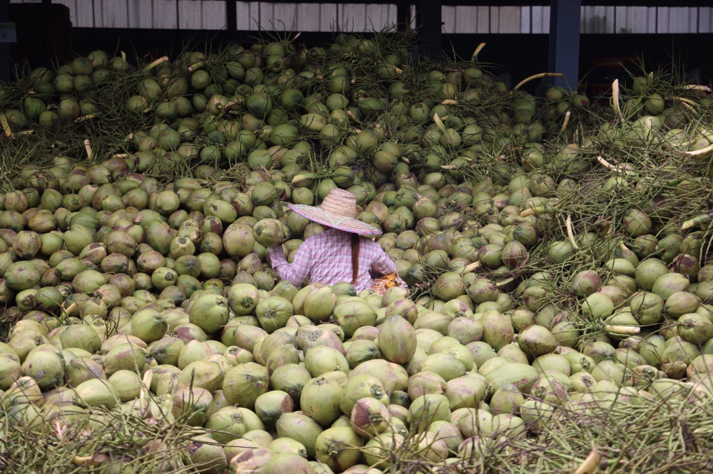 From Orchards to the Next Daily Craze: Yen Yen x Thai COCO Team Up with 100 Tons of Aromatic Coconut to Empower Farmers