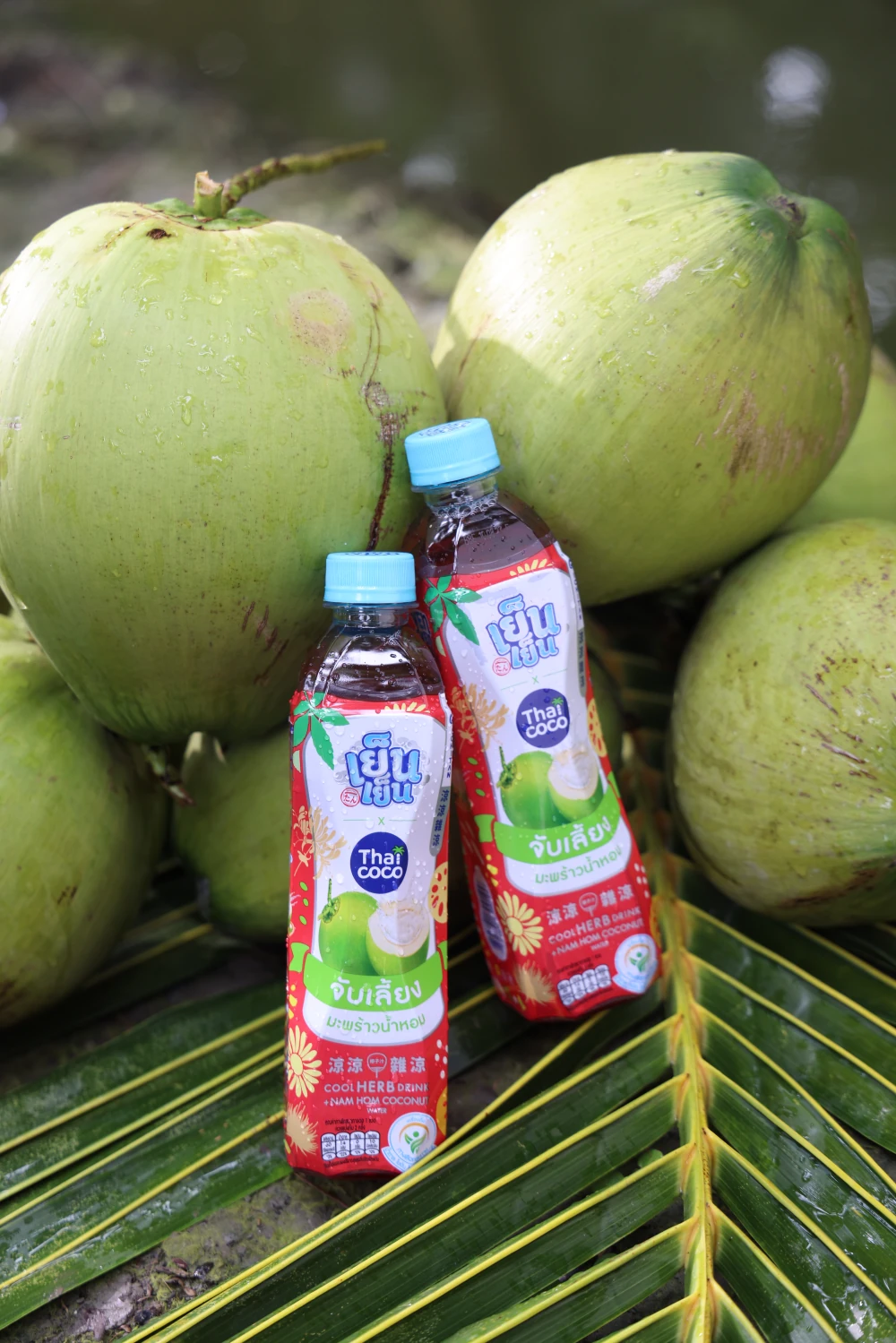 From Orchards to the Next Daily Craze: Yen Yen x Thai COCO Team Up with 100 Tons of Aromatic Coconut to Empower Farmers