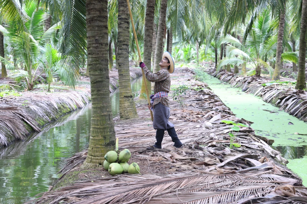 From Orchards to the Next Daily Craze: Yen Yen x Thai COCO Team Up with 100 Tons of Aromatic Coconut to Empower Farmers