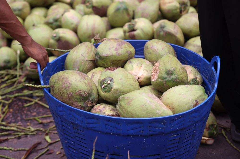 From Orchards to the Next Daily Craze: Yen Yen x Thai COCO Team Up with 100 Tons of Aromatic Coconut to Empower Farmers