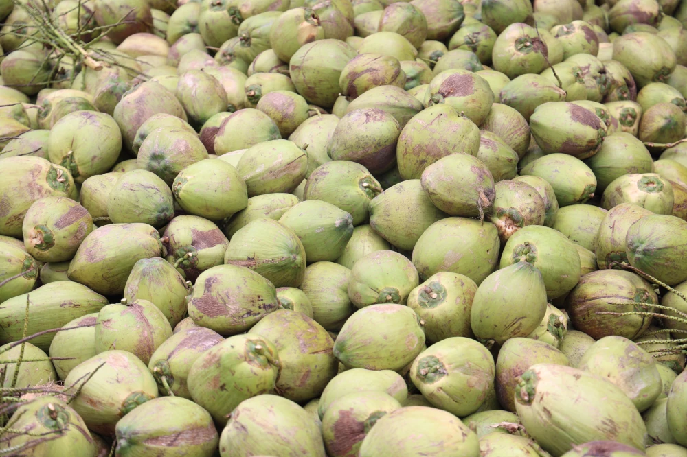From Orchards to the Next Daily Craze: Yen Yen x Thai COCO Team Up with 100 Tons of Aromatic Coconut to Empower Farmers