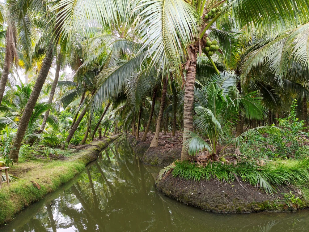 From Orchards to the Next Daily Craze: Yen Yen x Thai COCO Team Up with 100 Tons of Aromatic Coconut to Empower Farmers