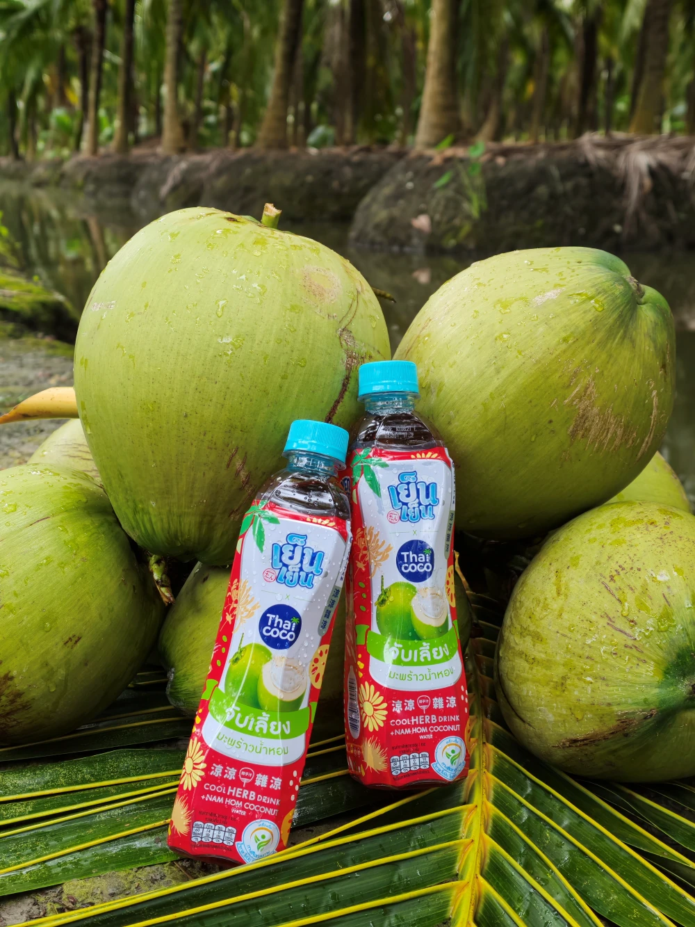 From Orchards to the Next Daily Craze: Yen Yen x Thai COCO Team Up with 100 Tons of Aromatic Coconut to Empower Farmers