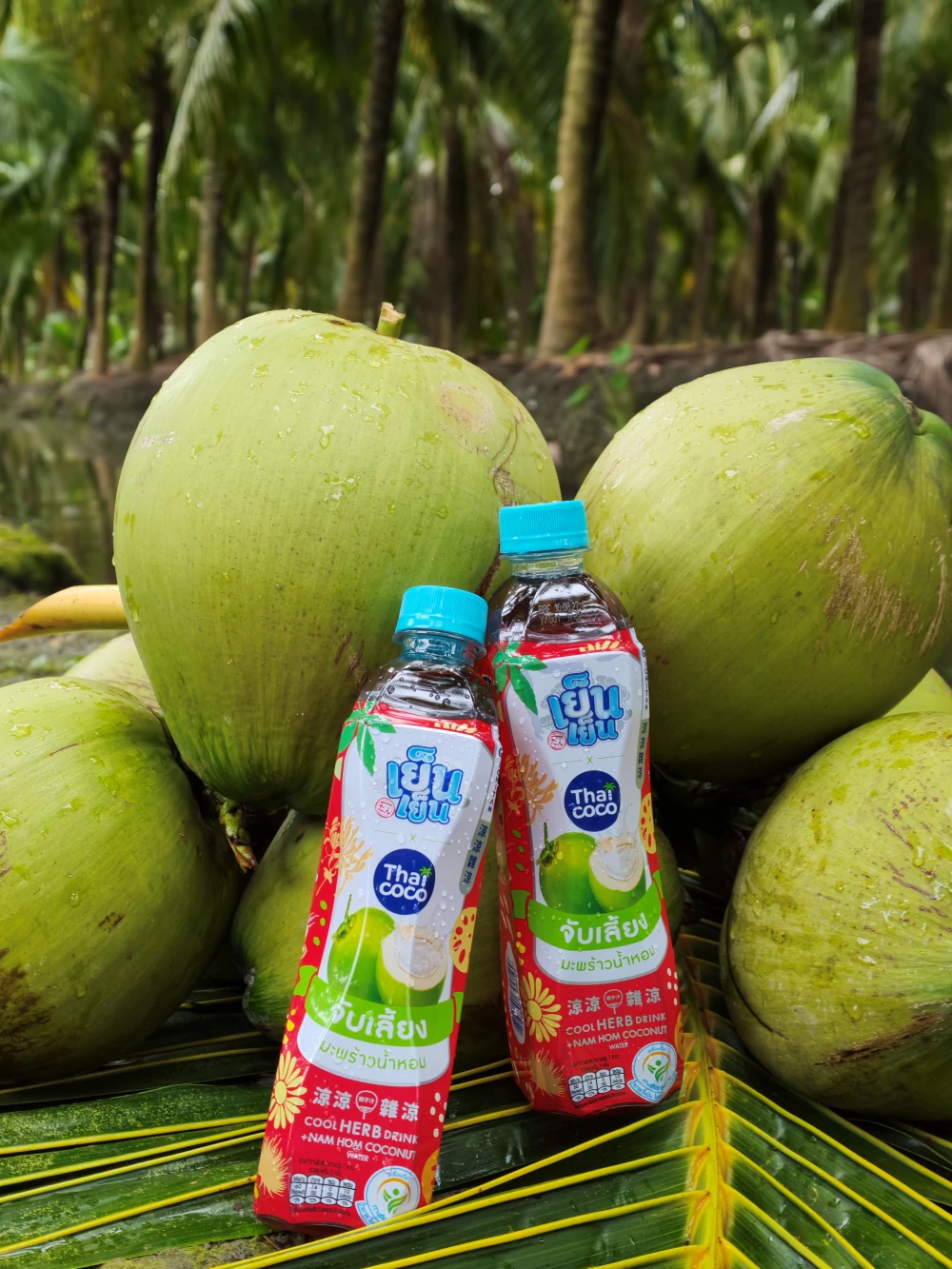 From Orchards to the Next Daily Craze: Yen Yen x Thai COCO Team Up with 100 Tons of Aromatic Coconut to Empower Farmers